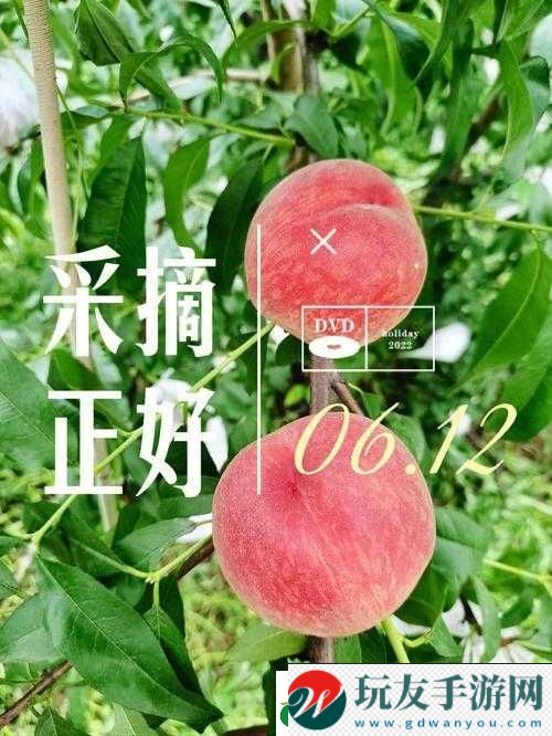 幸福的收獲 sn3858 粉色水蜜桃的甜蜜體驗